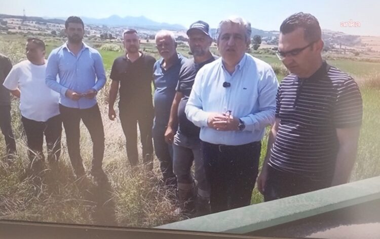 Çeltik üreticisinden fiyat ve maliyet isyanı