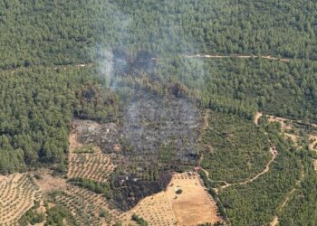 Muğla’daki orman yangını kontrol altına alındı