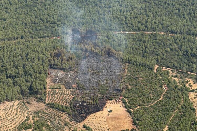 Muğla’daki orman yangını kontrol altına alındı