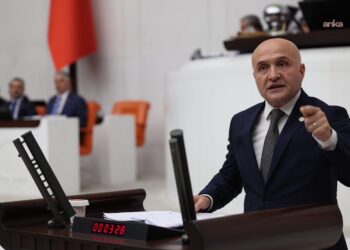İYİ Partili Usta: “TMO’nun fındıkta uyguladığı kota sınırı kaldırılsın”