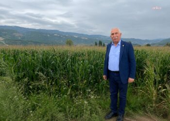 CHP’li Durmaz: “Mısırda 17 liranın altı üreticiyi üretimden koparır”