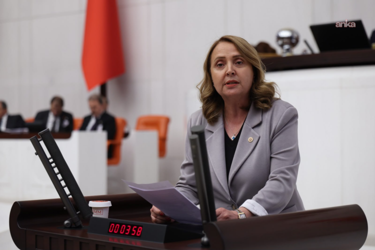 CHP’li Semra Dinçer’den “bütçe” tepkisi