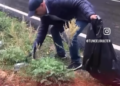 Ovacık’ta doğaya atılan çöpler tepki çekti… Muhtar çöpleri topladı