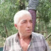 Zeytin üreticisi dertli: “Maliyetler artıyor”