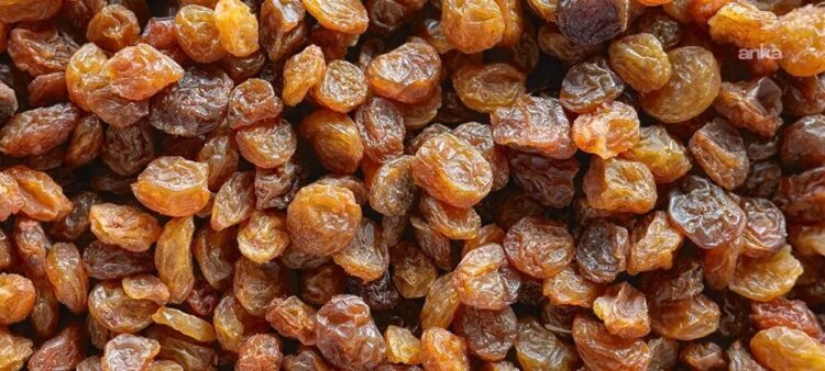 TMO: 10 numara çekirdeksiz kuru üzüm için alım fiyatı 100 TL