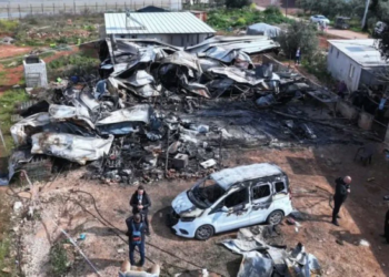DİSK’ten Antalya’daki hortum faciasına ilişkin açıklama