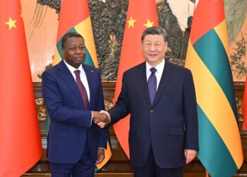 Çin: Xi’nin ortaya koyduğu dört ilke Afrika’daki sorunların çözümüne yol gösteriyor