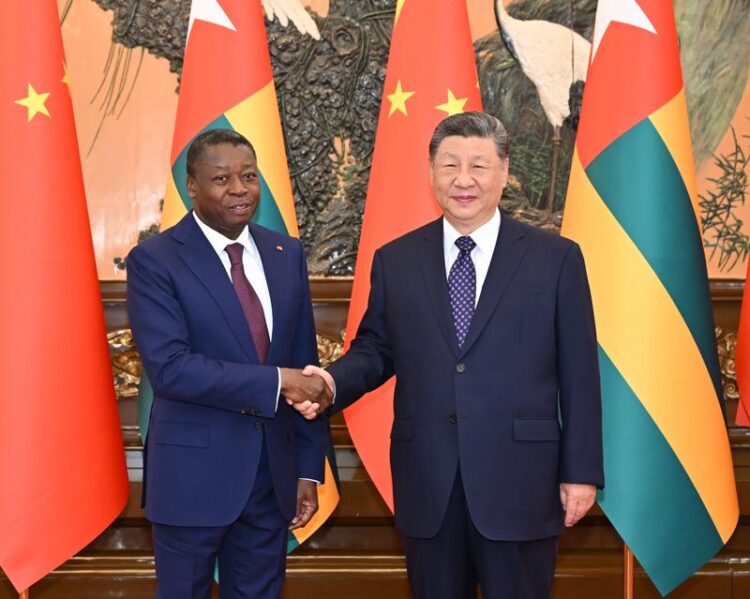 Çin: Xi’nin ortaya koyduğu dört ilke Afrika’daki sorunların çözümüne yol gösteriyor